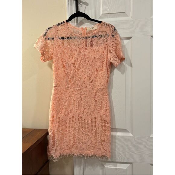 Amorini The Label Women Floral Crochet Lace Overlay Sheath Dress Pink Medium NWT - Picture 1 of 6